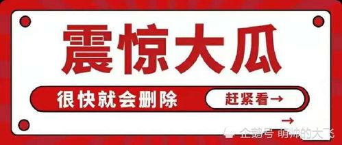 娱乐圈吃瓜帖子大全,吃瓜帖子大全深度解读